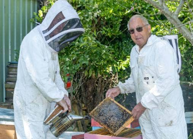 Beekeeping Solidarity Taranaki Beekeepers' Gift to Cyclone-Hit Hawke's Bay