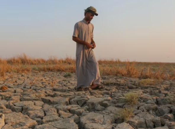 Understanding the Human Impact Unraveling the Climate Crisis in the Middle East