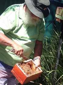 Buzzing Summer Community Garden Hosts 'How To Bee' Workshops and Celebratory Evening