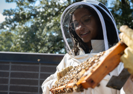 The Beekeeper Artist Janelle Dunlap's Unique Journey Blending Nature, Art, and Research