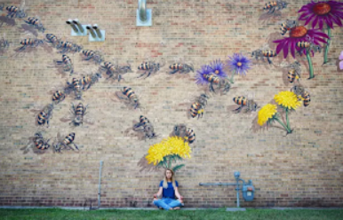 Artist Matt Willey and His Global Mural Project Come to Savannah Bee Company