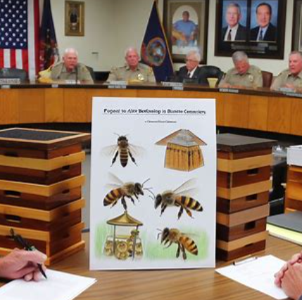 Victory for Beekeepers Annual Audits Restored, Easing Financial Burden