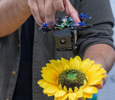 Robotics Engineers Work to 'Bee' Part of the Climate Change Solution