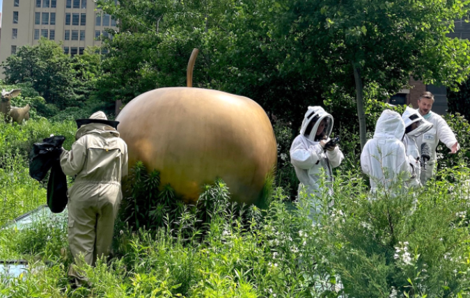 Sustainable Art Kasmin Gallery's Hidden Beekeeping Oasis