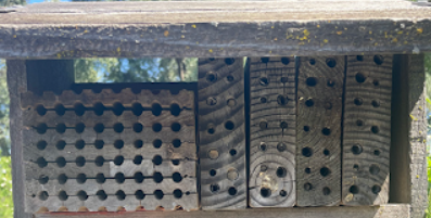 Creating Sustainable Habitats A Guide to Building Bee Houses for California's Native Bees