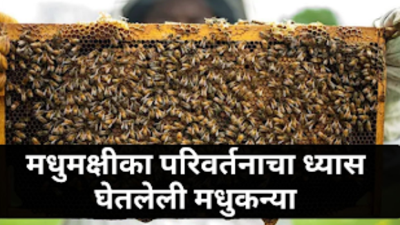 Buzzing Success Shweta's Journey from Fields to Beehives