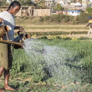 Unlocking the Potential of Soil Health A Key to Sustainable Agriculture and Climate Mitigation