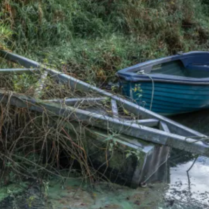 LoughNeaghCrisis Battling Algal Blooms and Ownership Disputes